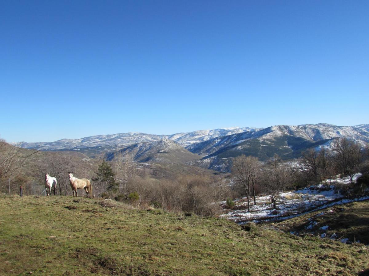 Villa Atardecer en Gredos 1 San Bartolomé de Tormes Exterior foto